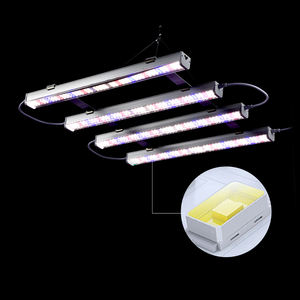 ไฟปลูกพืชแบบแนวตั้งไฮโดรโปนิกส์กันน้ำรุ่นใหม่ Lm281h สเปกตรัมเต็ม 25w 100w ไฟปลูกพืชแบบแท่ง - Product Image 3