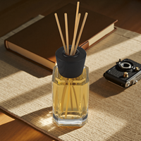Bouteilles en verre de diffusion et de parfum personnalisables, vente en gros avec boîtes et bâtons de diffuseur
