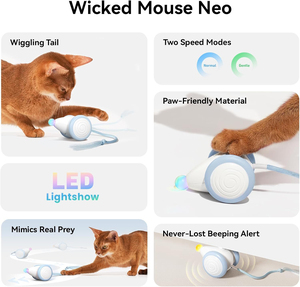 Nouveau jouet interactif électrique pour chat, souris amusante en PVC, jouet d'intérieur pour chat, écologique, style sport moderne - Product Image 2