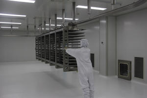 Высокоактивный пробиотик Lactobacillus Fermentum 5-1L: сырье для пищевых добавок - Product Image 5