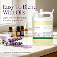 Minyak Esensial Lavender Organik |   Minyak Lavandula Angustifolia - Lavender Biru Prancis Alami yang Distilasi Uap dari Tanaman, Asal Cina
