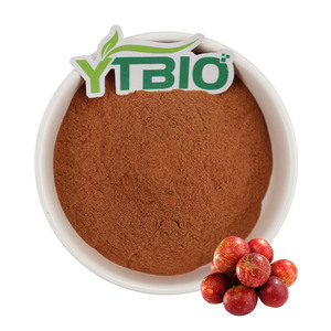 Pó de Fruta <span class=keywords><strong>Camu</strong></span> <span class=keywords><strong>Camu</strong></span> 100% Natural Premium - Pó Puro Liofilizado e Seco por Spray para Suporte Imunológico - Product Image 1