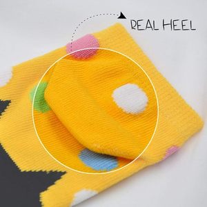 <span class=keywords><strong>Chaussettes</strong></span> <span class=keywords><strong>d</strong></span>écontractées en coton pour femmes, motif <span class=keywords><strong>chat</strong></span> mignon, <span class=keywords><strong>chaussettes</strong></span> à cinq doigts avec <span class=keywords><strong>d</strong></span>étail de revers pour filles, vente en gros <span class=keywords><strong>d</strong></span>'usine - Product Image 5