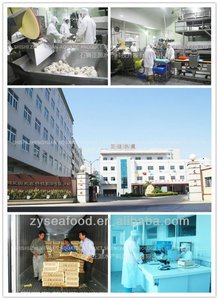 Cá thu đông lạnh chất lượng xuất khẩu-haccp đã được phê duyệt, moq thấp, Vận chuyển nhanh - Product Image 4