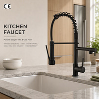 Robinet de cuisine moderne avec douchette extractible, monocommande, monotrou, mitigeur eau chaude et froide, à poser sur plan, en acier inoxydable
