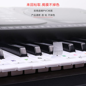 Piano Keyboard Sticker Colorful Note <b>Labels</b> For 88 61 54 <b>Keys</b> Electronic Piano Roll Up Keyboard Music Learning Aid - Product Image 3