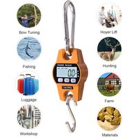 Balance numérique électronique industrielle portable robuste à suspendre 300 kg/100 g avec crochet en acier inoxydable et écran LCD