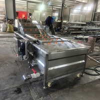 Hoogrenderende Industriële Automatische Bubbelwasmachine Voor Mango Groentewasmachine Met Grote Capaciteit Voor Avocado-Ananas Papaja-Fruit