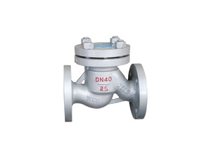<span class=keywords><strong>Clapet</strong></span> <span class=keywords><strong>anti</strong></span>-<span class=keywords><strong>retour</strong></span> à bride, extrémité RF, en acier inoxydable - Product Image 2