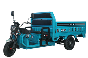 Cargo électrique populaire de tricycles de trois roues avec la puissance forte pour des adultes - Product Image 3