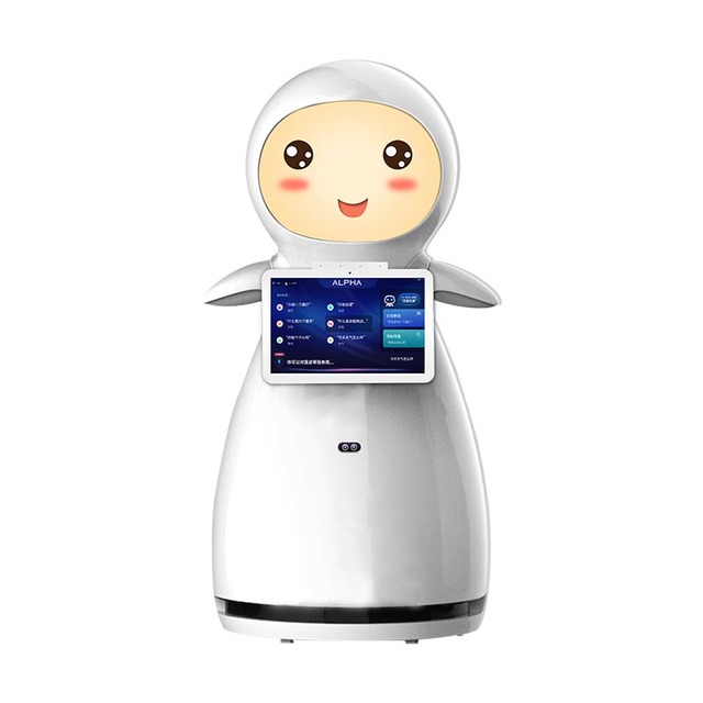 High Tech Advertising Display Intelligent Robot Reception Robot for Restaurant Hotel Mall Guiding Humanoid Robot
