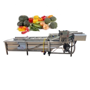 Easy To Install And Operate Vegetable Washer Seaweed Leaf Bubble Wash Machine