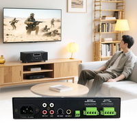 Amplificateur de puissance AMP-60 et AMP-10060W 100W 2 zones 4-16 Ω 70V 100V de haute qualité avec Bluetooth FM USB
