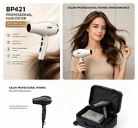 Sèche-cheveux professionnel à moteur AC 2400W, faible bruit, séchage rapide, pour salon, hôtel, extérieur, haute puissance, vente chaude