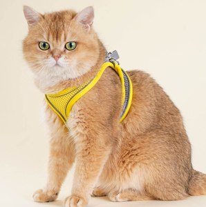 Kangdarpet Pet Leash Vest Style cat and <b>Dog</b> Chest and Back Straps Reflective cat Leash Pet Supplies - Product Image 5