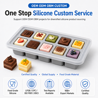 Moule à dessert en silicone de qualité alimentaire avec couvercle, plateau carré à 10 emplacements, résistant à la chaleur, antiadhésif, écologique, pour mousse et brownie
