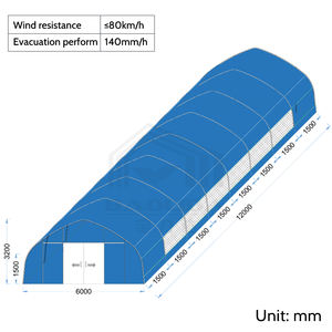 大型温室 6x12m ゴシック型 プラスチックフィルムトンネル シングルスパン 農業用PE素材製 セル・アグリコル - Product Image 3
