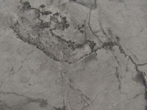 Cuarcita Natural Barkas Gris, Moderna, Pulida, Impermeable, Ecológica, para Cocina, Baño, Hotel, Parque, Apartamento, en Losas Grandes - Product Image 6