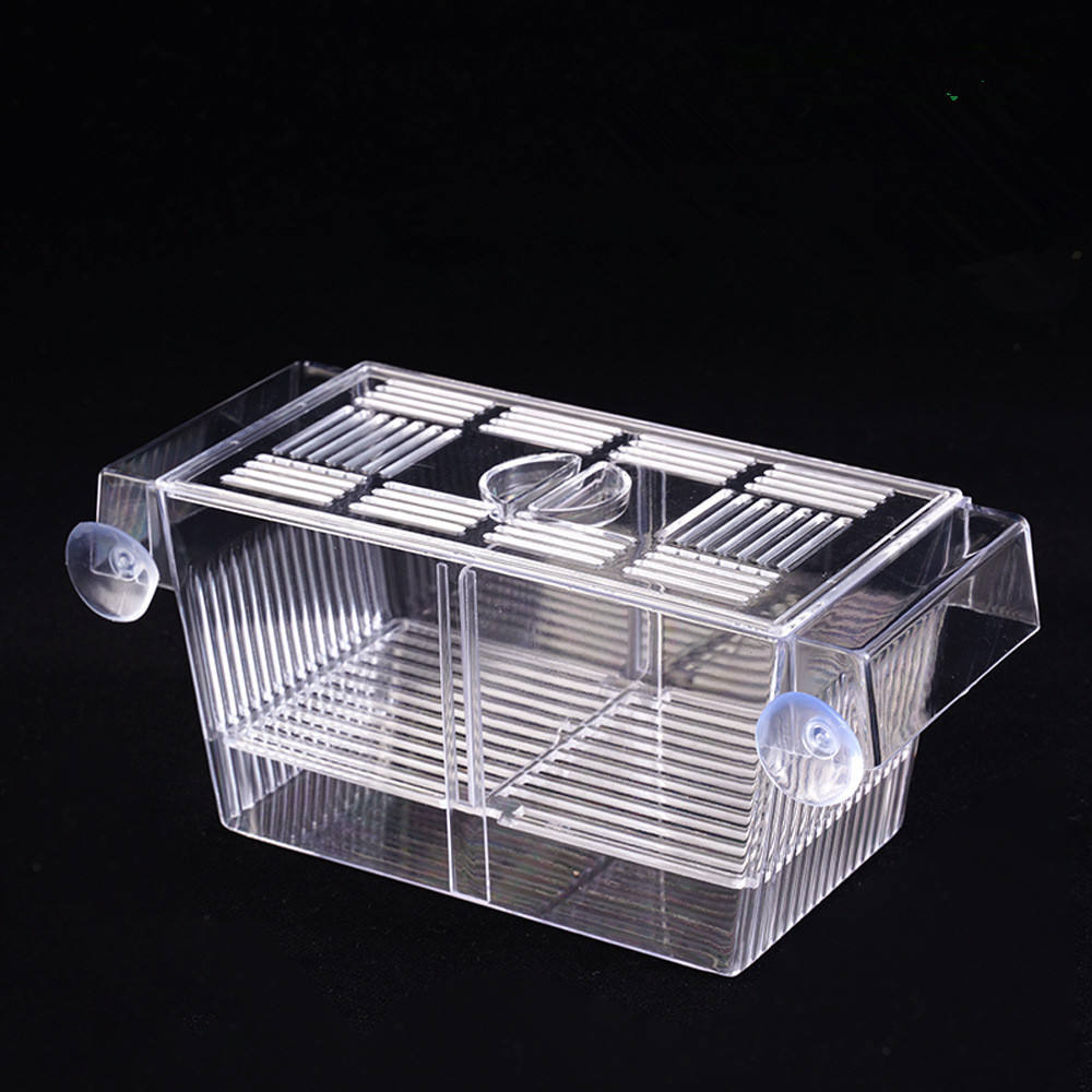 Guppy Breeding Box Eco-Friendly Plastic Isolation Tank
