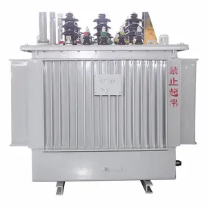 1000 kVA 35kv Oil-Immersed Distribution Power Transformer with Customized Service