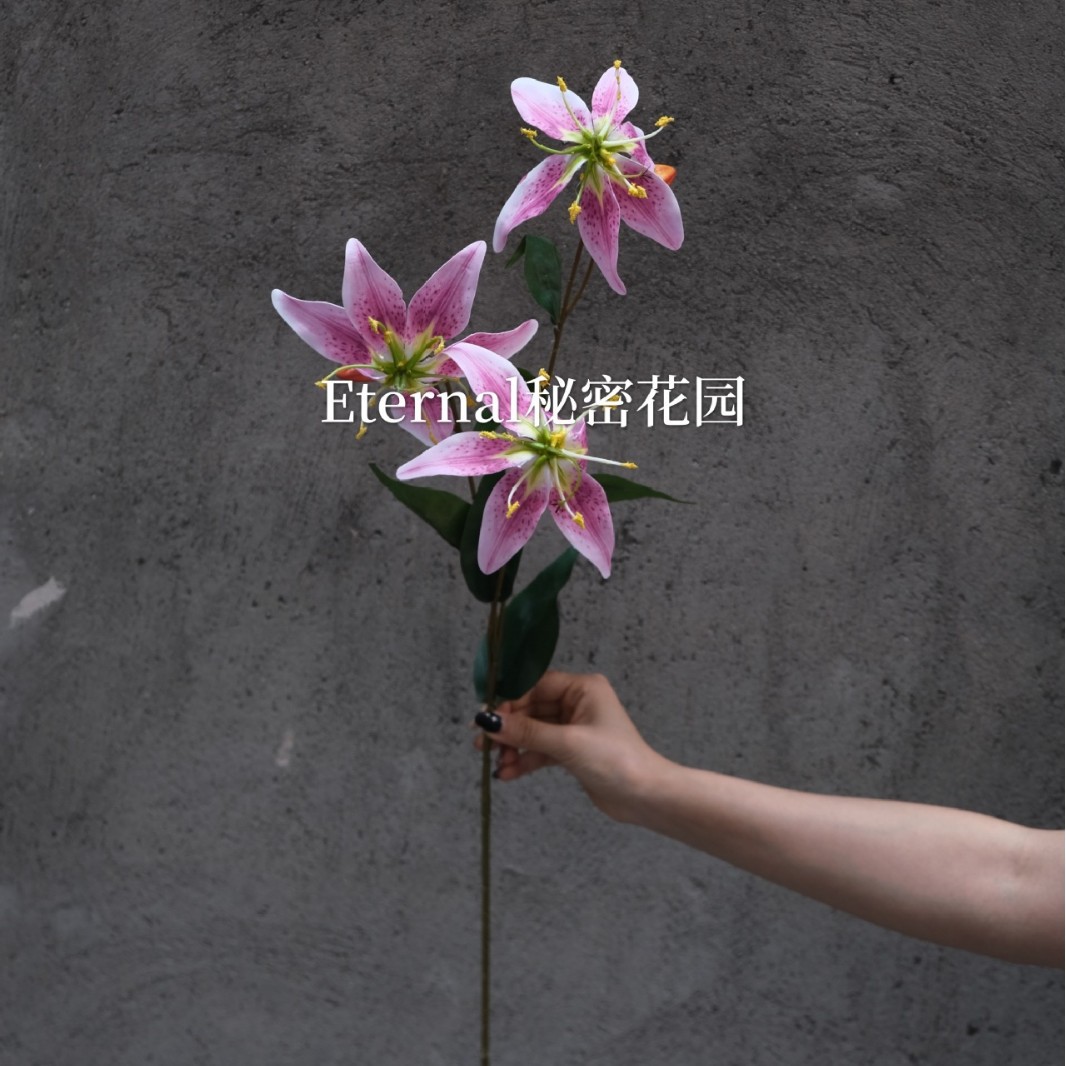 3DJia Lan Lily Rose violet