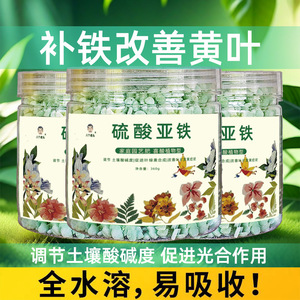 Engrais granulaire au sulfate ferreux 360g pour l'ajustement du pH du sol et les plantes vertes - Product Image 2