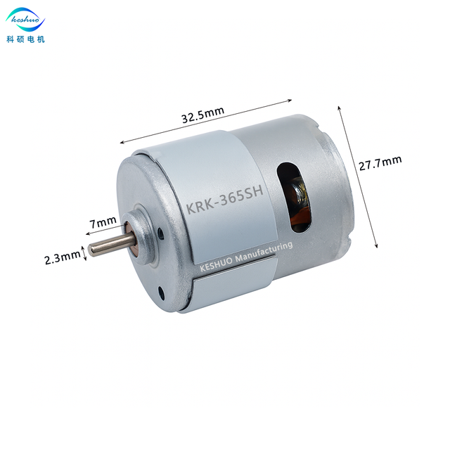 Rs360 Rs365 Rs-360 Rs-365 Dc 6vdc 12vdc 14.4vdc 24vdc Carbon Brushed Motor for Pump