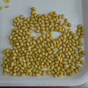 <span class=keywords><strong>Grossiste</strong></span> de haricots en conserve Bonne savoureuse saine Haricots au four de légumes en conserve Haricots au four en conserve à la sauce tomate - Product Image 2