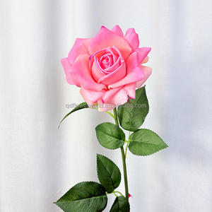 تخفيضات كبيرة لمسة حقيقية اصطناعية لاتكس واحد ورد أحمر وردي هالوين عيد الحب مصنع بيع بالجملة الورود - Product Image 4