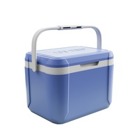 Boîte isotherme pour lait maternel de haute qualité en plastique Igloo Mini 5l facile à transporter avec poignée pour le camping en plein air