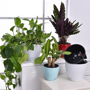 Mini <span class=keywords><strong>macetas</strong></span> de agua de pintura redonda de varios tamaños, <span class=keywords><strong>macetas</strong></span> de flores autoabsorbentes - Product Image 4