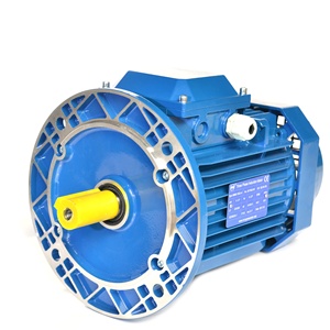 Moteurs asynchrones AC 10hp 20hp 30hp 40hp 50hp 60hp 100hp 380V 2 pôles triphasés pour moulin à maïs - Product Image 3