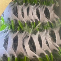 Groothandel duurzame handmatige plastic handgreep grote appel snijder en ontpitter met roestvrijstalen mes, enkelvoudig stuk