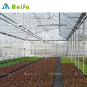 Fabricante chino Sistema de automatización de casa verde hidropónica de invernadero inteligente totalmente automatizado para flores Cultivo de tomates