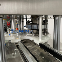 Vente chaude Thon Poisson Mise en conserve Machine Pet Alimentaire Boîte de conserve Scellant Jus En Plastique Pot D'étanchéité Machine