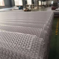 Échantillon gratuit de tôle ondulée en plastique transparent, feuille de polycarbonate ondulée en diamant gaufré pour panneau publicitaire lumineux