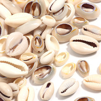 Vente en gros pas cher 40 g/sac de perles de pierres précieuses naturelles peintes d'ormeau de mer cauri perles de coquille pour la fabrication de bijoux Bracelet collier
