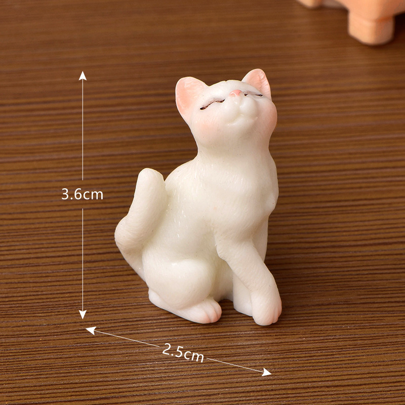 No. 4 Kissing White cat
