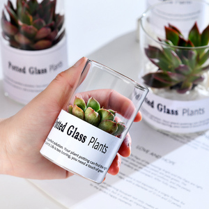 Jarrón de Vidrio Cilíndrico Moderno Hecho a Mano de Alta Calidad, Cristal Transparente de Borosilicato Ecológico para Flores de Boda y Decoración del <span class=keywords><strong>Hogar</strong></span> - Product Image 4