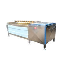 Automatische wortelgroente reinigingsborstelmachine, fruitroller wasmachine, appel, sinaasappel, cassave polijst- en wasmachine