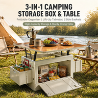 Boîte de rangement pliable en plastique pour cuisine de camping en plein air avec table
