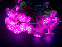 Lumières de cabochon à pixels RVB 24V pour fête foraine CHJ 45mm