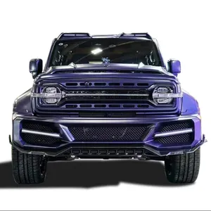 2023 In Stock SHADOW TANK Compact SUV Gasoline Car For Sale Off-Road Version 2.0T Adults Cars For Great Wall New cars