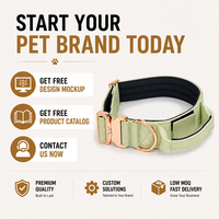 Collier tactique pour chien avec boucle or rose, poche pour AirTag, rembourrage doux, nylon réglable, marque personnalisée pour l'entraînement, la promenade et la randonnée
