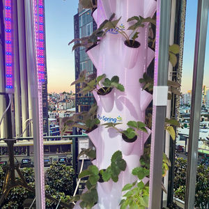 7 lapisan hidroponik vertikal tumbuh menara | Sayuran dalam ruangan & ramuan menanam Kit EU Power Plug - Product Image 6