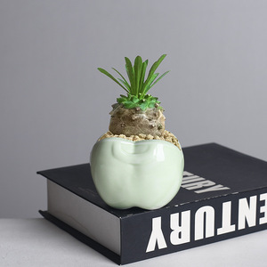<span class=keywords><strong>Pot</strong></span> en céramique pour plantes succulentes, motif <span class=keywords><strong>pomme</strong></span> mignon, transfrontalier, vase pour plantes vertes succulentes, <span class=keywords><strong>petit</strong></span> <span class=keywords><strong>pot</strong></span> de bureau créatif, ornement respirant - Product Image 4