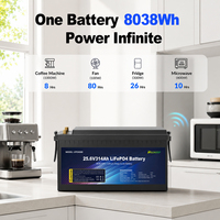 Batterie LiFePO4 étanche 25,6 V 314 Ah, charge 80 A, décharge 200 A, coque ABS PC M8, 6000 cycles, garantie 10 ans