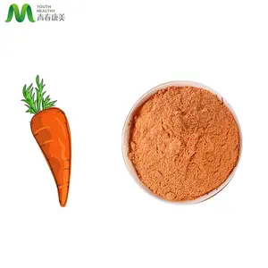 Prezzo all'ingrosso carota secca in polvere