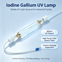Lampu Iodine Gallium Industri untuk Pencetakan UV dan Pembuatan Plat PS