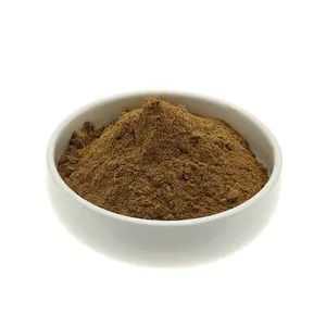 Naturlicher Maitake-Pilz-Extrakt Grifolan Grifola Frondosa-Extrakt